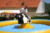 Bull Riding 06